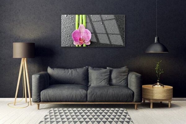 Tablou pe sticla Bamboo Tube floare verde florale roz