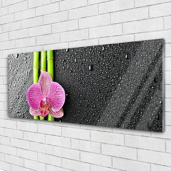 Tablou pe sticla Bamboo Tube floare verde florale roz