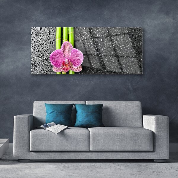 Tablou pe sticla Bamboo Tube floare verde florale roz
