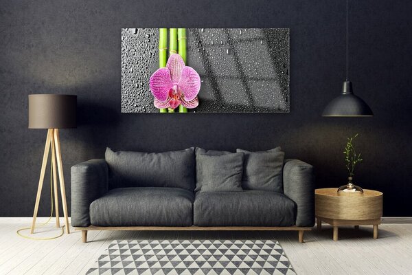 Tablou pe sticla Bamboo Tube floare verde florale roz