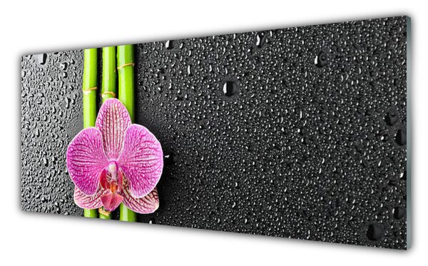 Tablou pe sticla Bamboo Tube floare verde florale roz