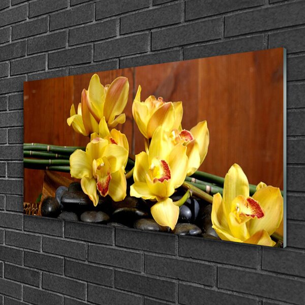 Tablou pe sticla Pietrele florale flori galben negru