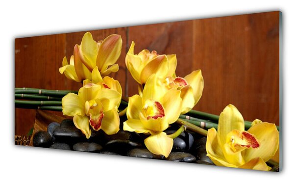 Tablou pe sticla Pietrele florale flori galben negru