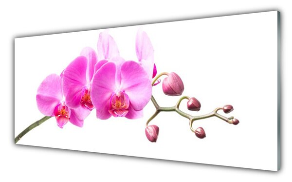Panou sticla bucatarie Flori roz Floral