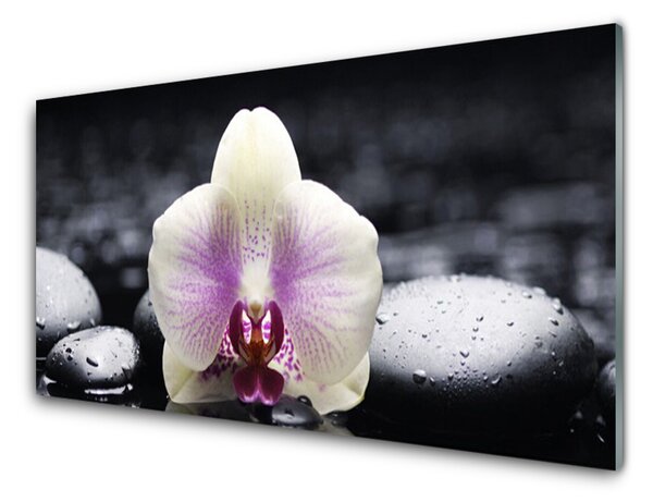 Panou sticla bucatarie Pietrele florale flori roz alb negru