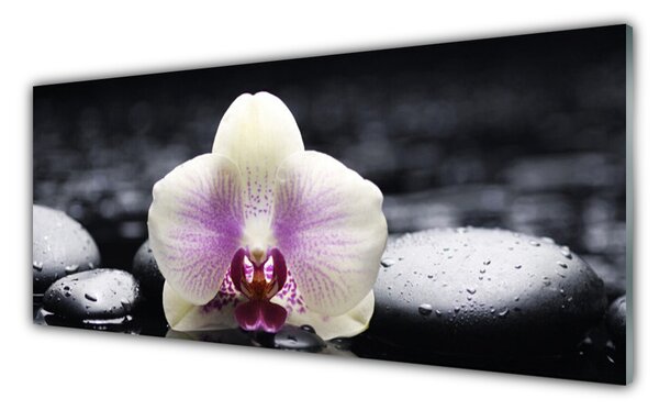 Panou sticla bucatarie Pietrele florale flori roz alb negru