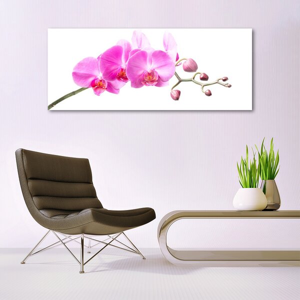 Tablou pe sticla Flori roz Floral