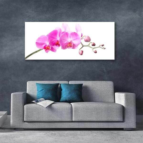 Tablou pe sticla Flori roz Floral