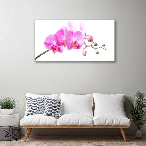 Tablou pe sticla Flori roz Floral