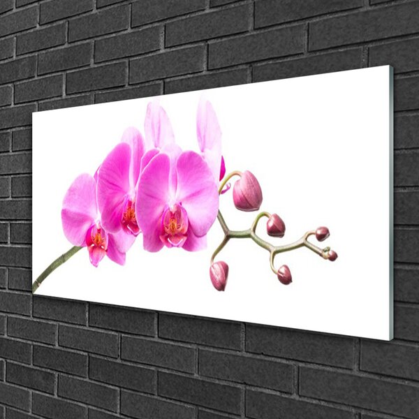 Tablou pe sticla Flori roz Floral