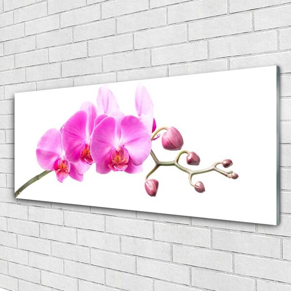 Tablou pe sticla Flori roz Floral