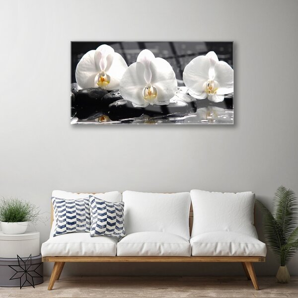 Tablou pe sticla Pietre florale flori alb negru