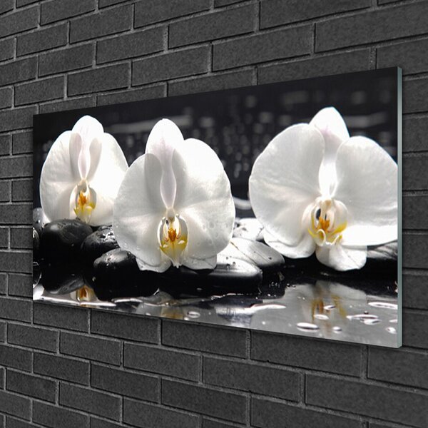Tablou pe sticla Pietre florale flori alb negru