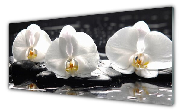 Tablou pe sticla Pietre florale flori alb negru