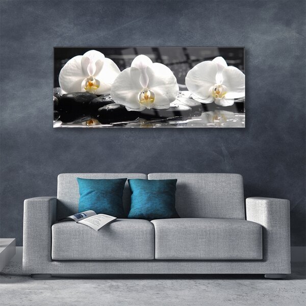 Tablou pe sticla Pietre florale flori alb negru