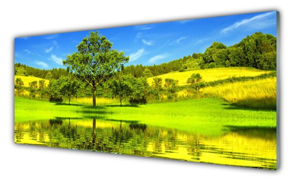 Panou sticla bucatarie Meadow copac Natura Verde Maro