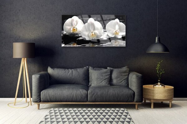 Tablou pe sticla Pietre florale flori alb negru