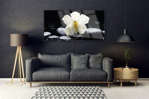 Tablou pe sticla Pietre florale flori alb negru