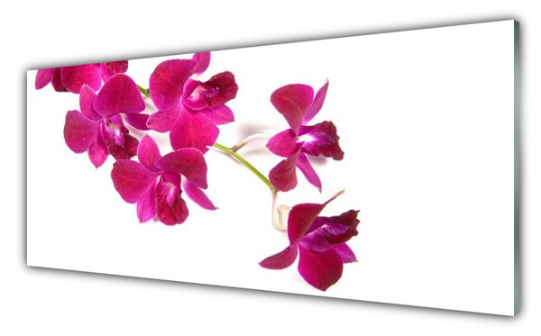 Panou sticla bucatarie Flori Floral Roșu