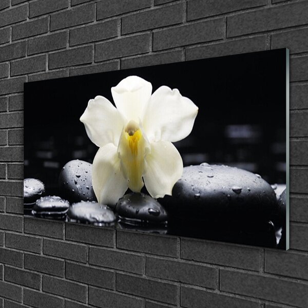 Tablou pe sticla Pietre florale flori alb negru
