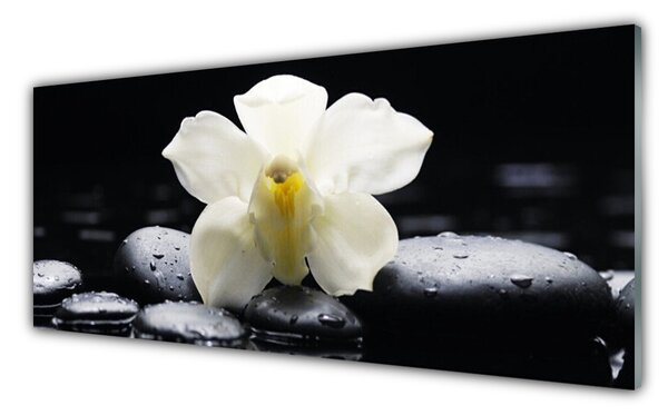 Tablou pe sticla Pietre florale flori alb negru