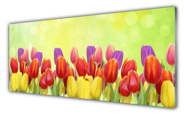 Tablou pe sticla Lalele Floral Galben Rosu Roz