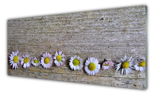 Tablou pe sticla Daisy Floral Galben Alb Roz