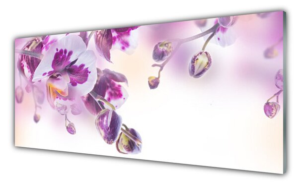 Tablou pe sticla Flori roz Floral