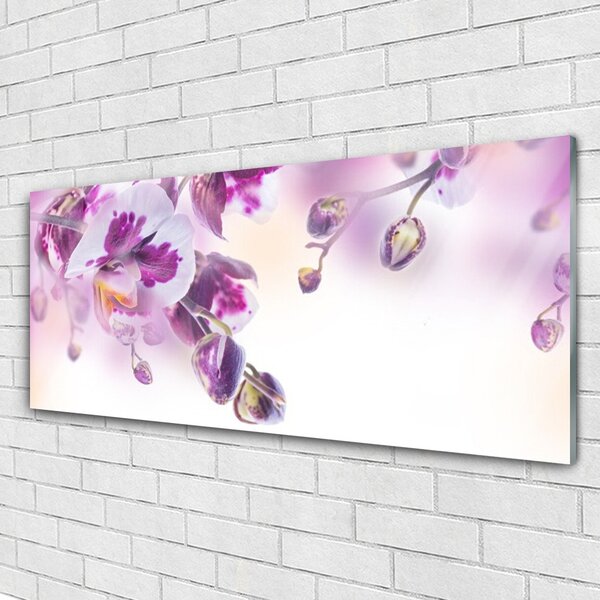 Tablou pe sticla Flori roz Floral