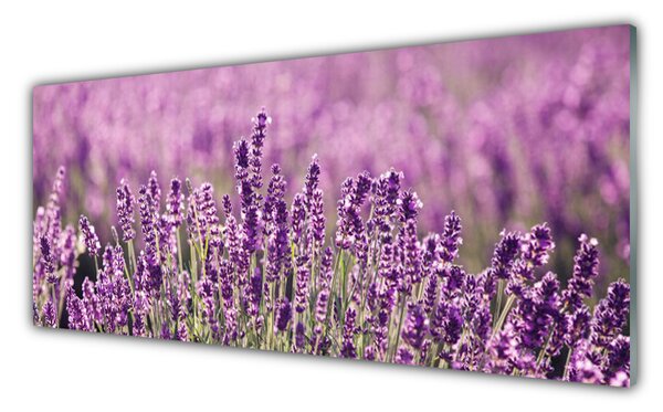Panou sticla bucatarie Flori roz Floral