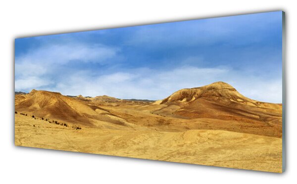 Tablou pe sticla Desert Peisaj Galben