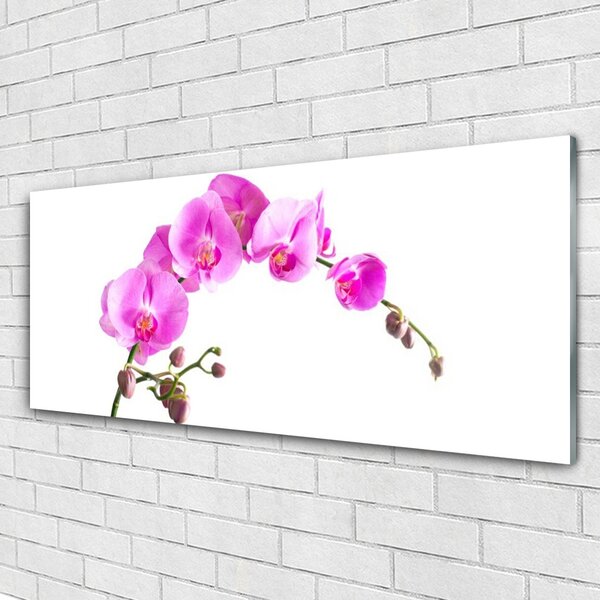 Tablou pe sticla Flori roz Floral