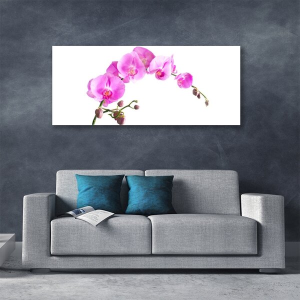 Tablou pe sticla Flori roz Floral