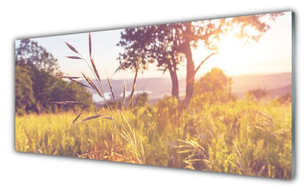 Tablou pe sticla Meadow Grass copac Natura Verde Maro