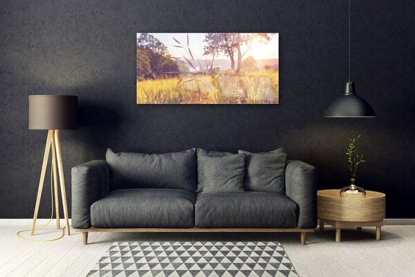 Tablou pe sticla Meadow Grass copac Natura Verde Maro
