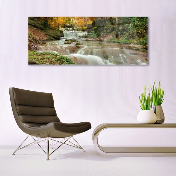 Tablou pe sticla Cascada Natural Pădurea Verde Maro