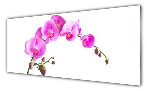Tablou pe sticla Flori roz Floral