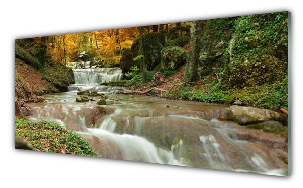 Panou sticla bucatarie Cascada Natural Pădurea Verde Maro