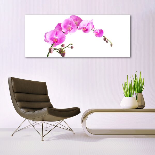 Tablou pe sticla Flori roz Floral