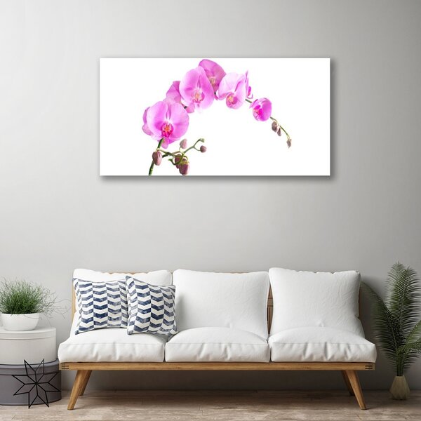 Tablou pe sticla Flori roz Floral