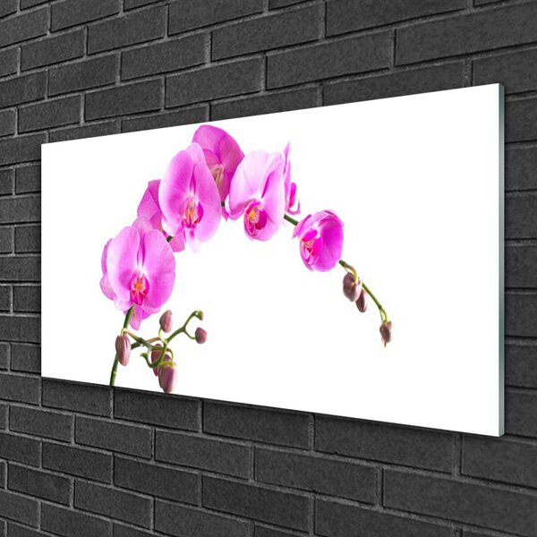 Tablou pe sticla Flori roz Floral