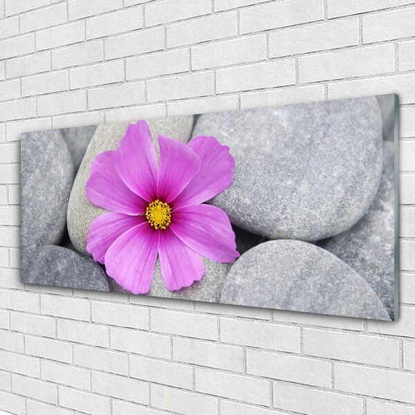 Tablou pe sticla Pietrele florale flori roz gri