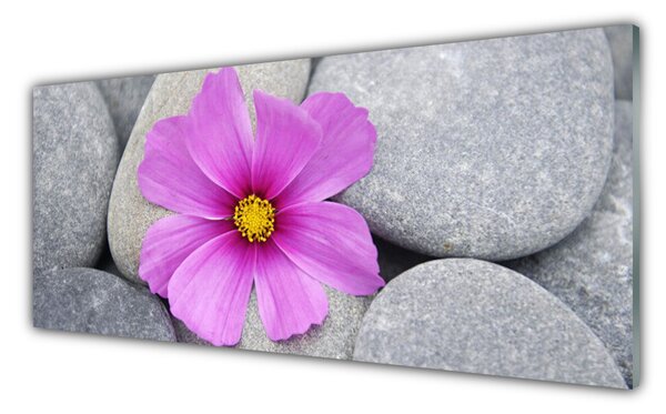 Tablou pe sticla Pietrele florale flori roz gri