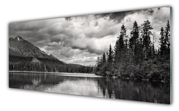 Panou sticla bucatarie Mountain Forest Lake Nature Gray