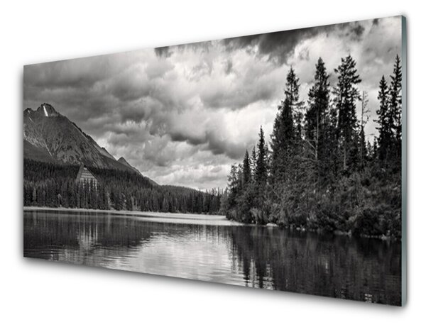 Panou sticla bucatarie Mountain Forest Lake Nature Gray