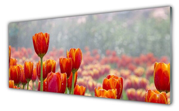 Tablou pe sticla Lalele Floral Red