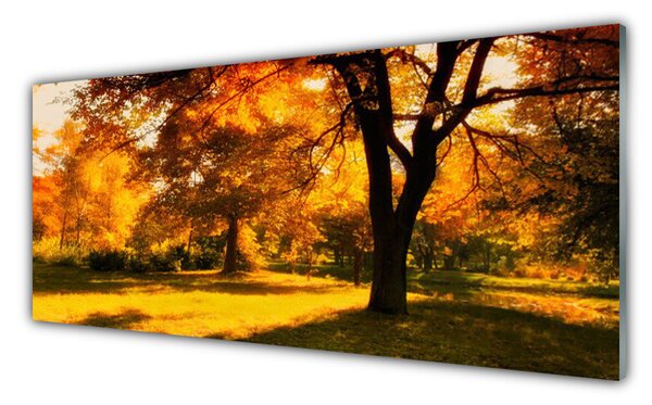 Tablou pe sticla Copaci Natura Verde Brun Galben