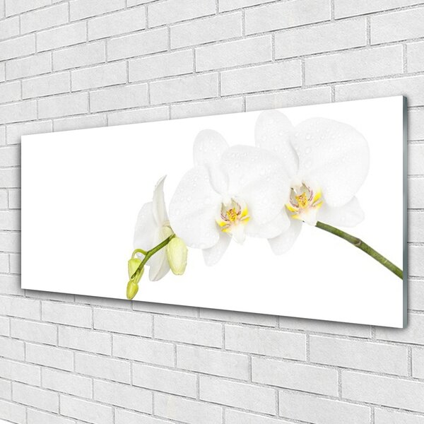 Tablou pe sticla Flori Floral alb