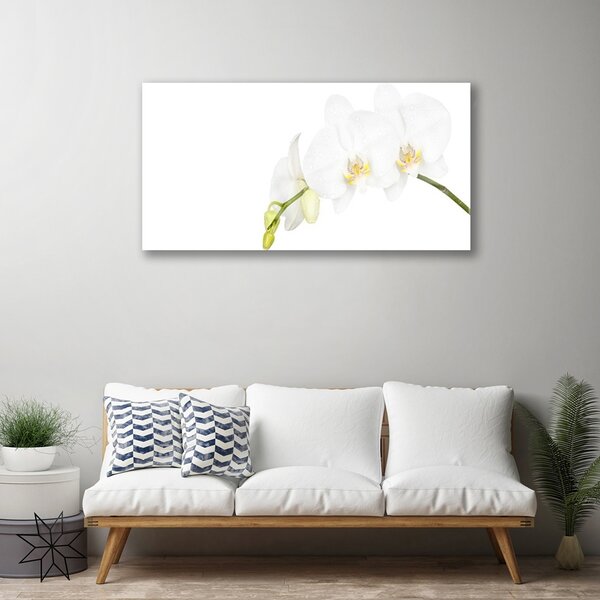 Tablou pe sticla Flori Floral alb