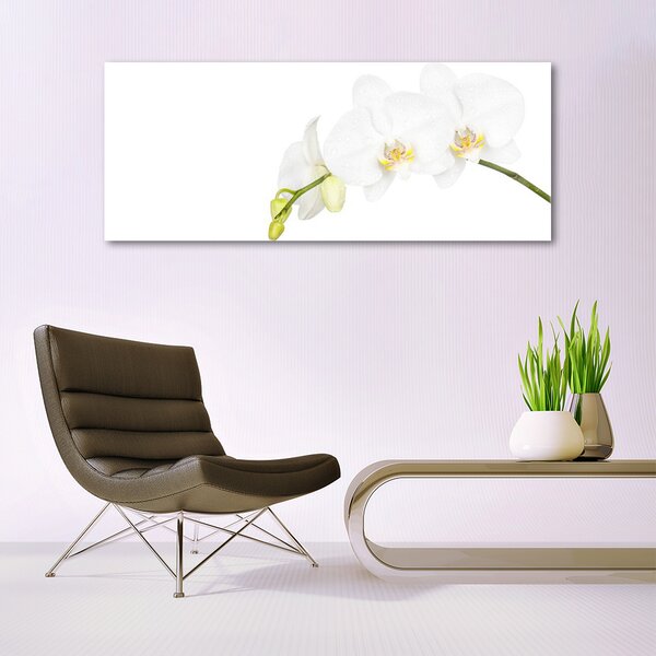Tablou pe sticla Flori Floral alb